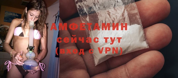 прущие крисы Горняк