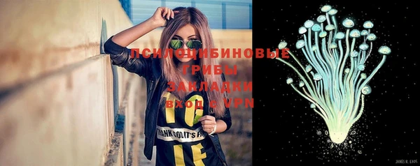 прущие крисы Горняк