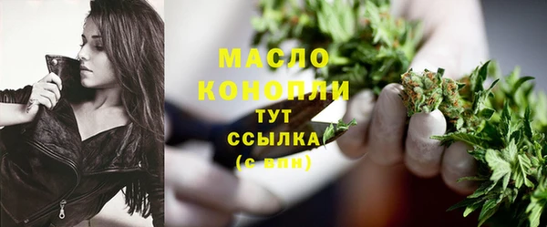 прущие крисы Горняк