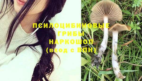гидропоника Горно-Алтайск