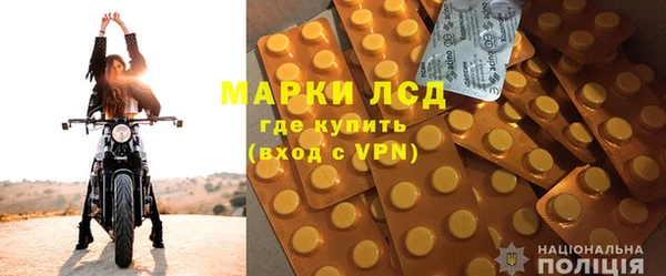 прущие крисы Горняк