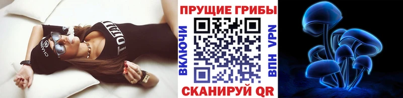 Купить  Петровск  Псилоцибиновые грибы Magic Shrooms 