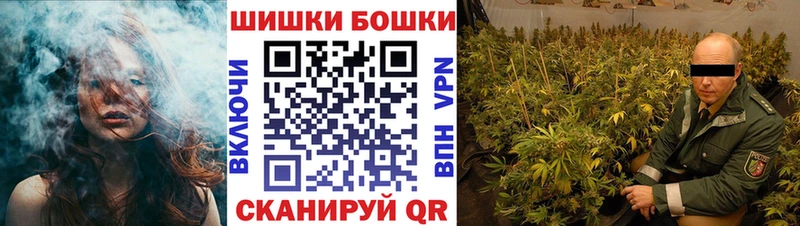 Купить где  Петровск  Бошки марихуана конопля 